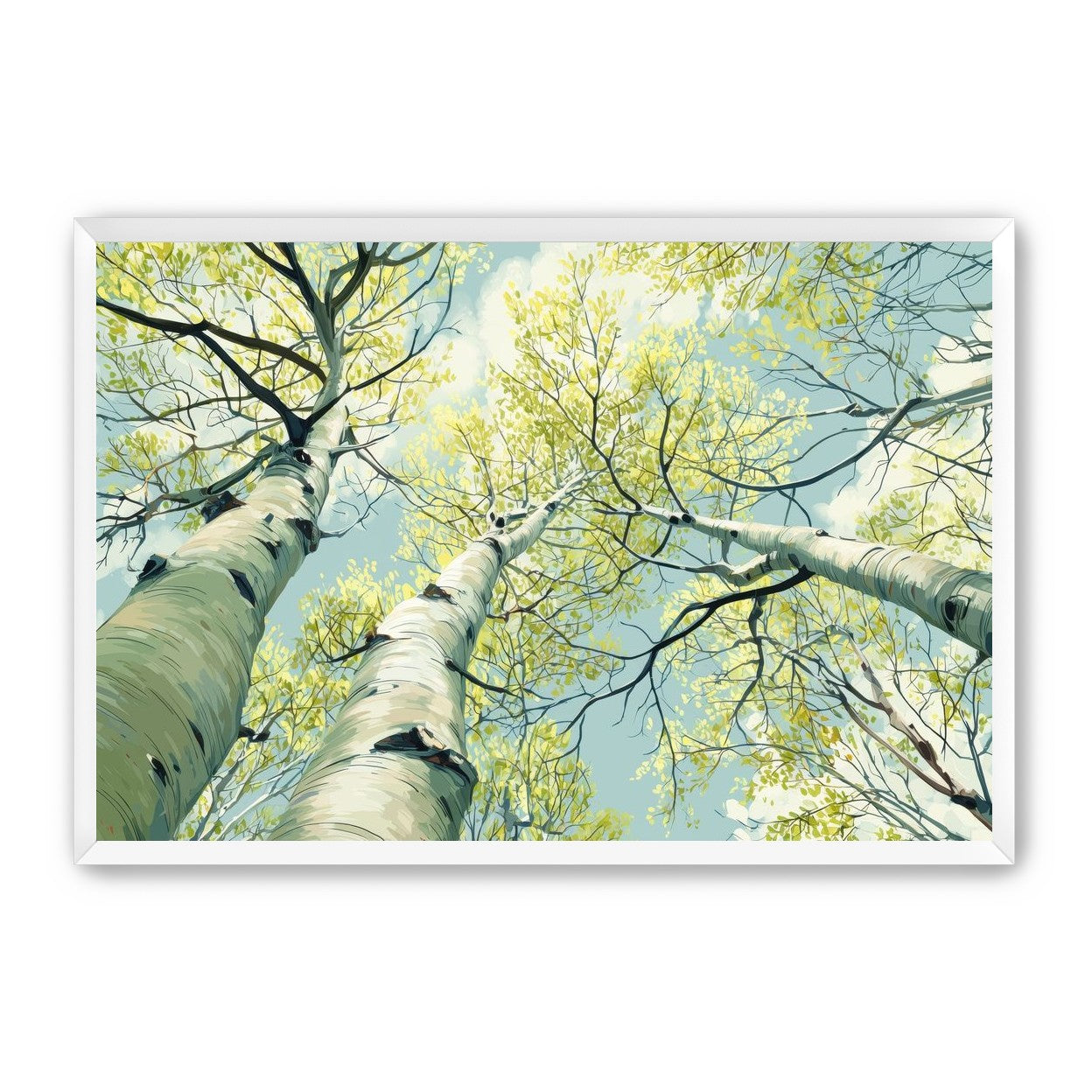 Branches Holding Light