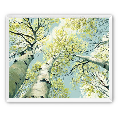 Branches Holding Light