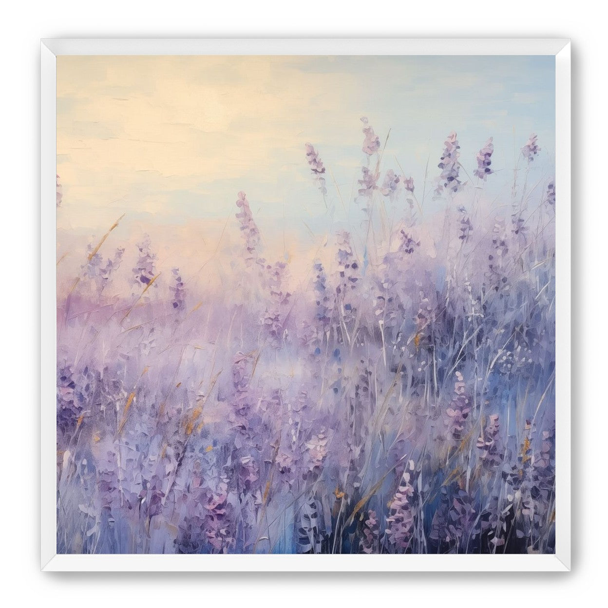 Lavender Fields