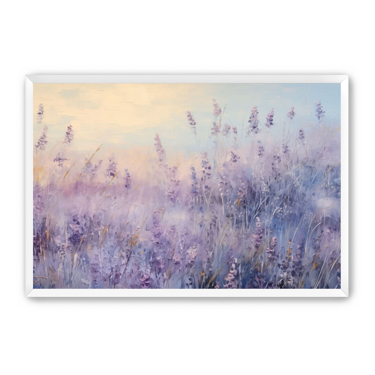 Lavender Fields