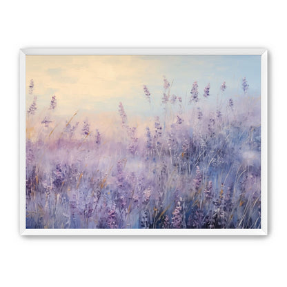 Lavender Fields