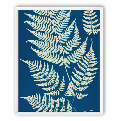 Ferns crossing blue field