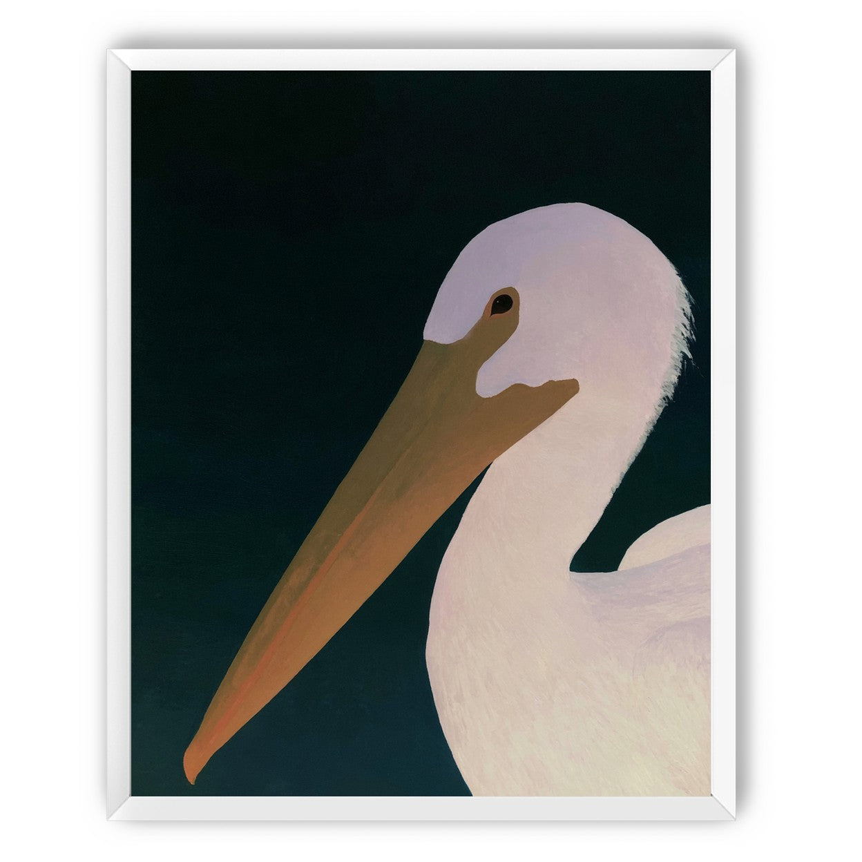 White pelican in stillness