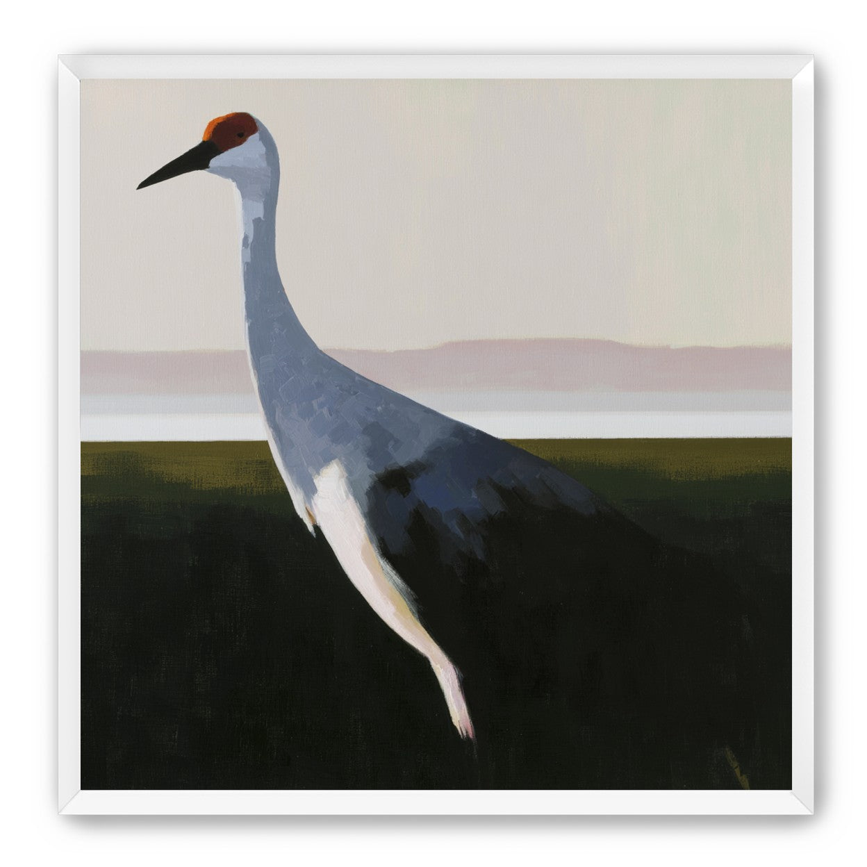 Crane with a red crown