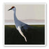 Crane with a red crown