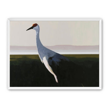 Crane with a red crown