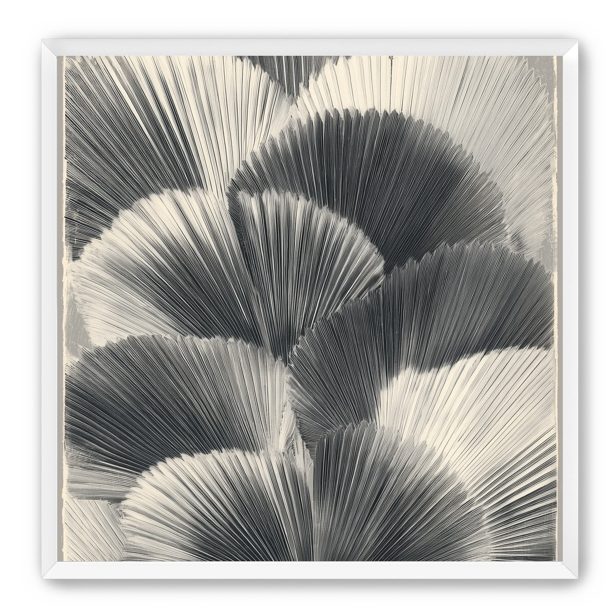 Ginkgo leaves in shadow