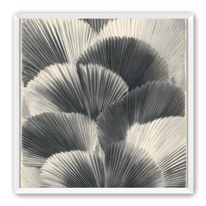 Ginkgo leaves in shadow