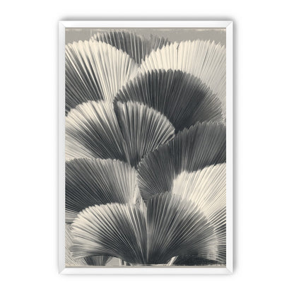 Ginkgo leaves in shadow