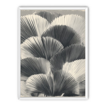 Ginkgo leaves in shadow
