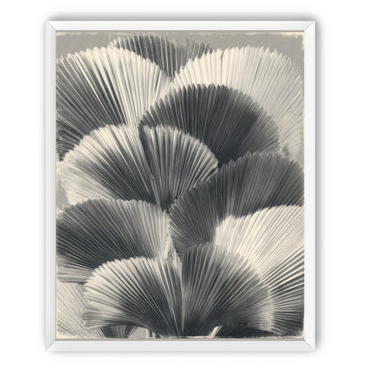 Ginkgo leaves in shadow