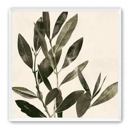 Dark leaves on pale field