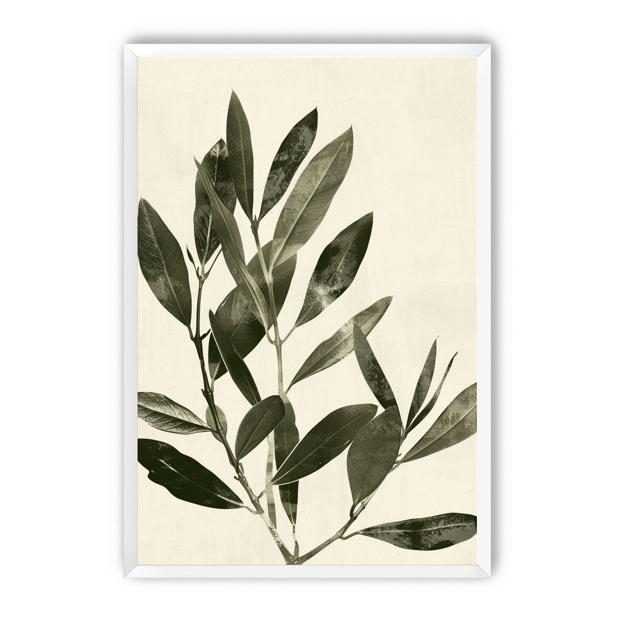 Dark leaves on pale field