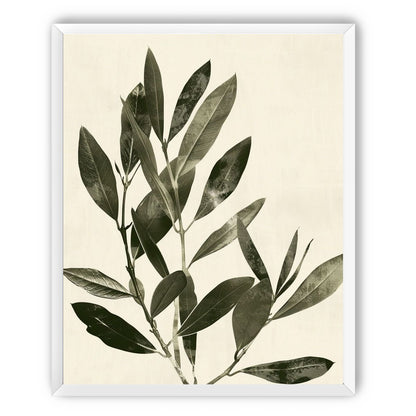 Dark leaves on pale field