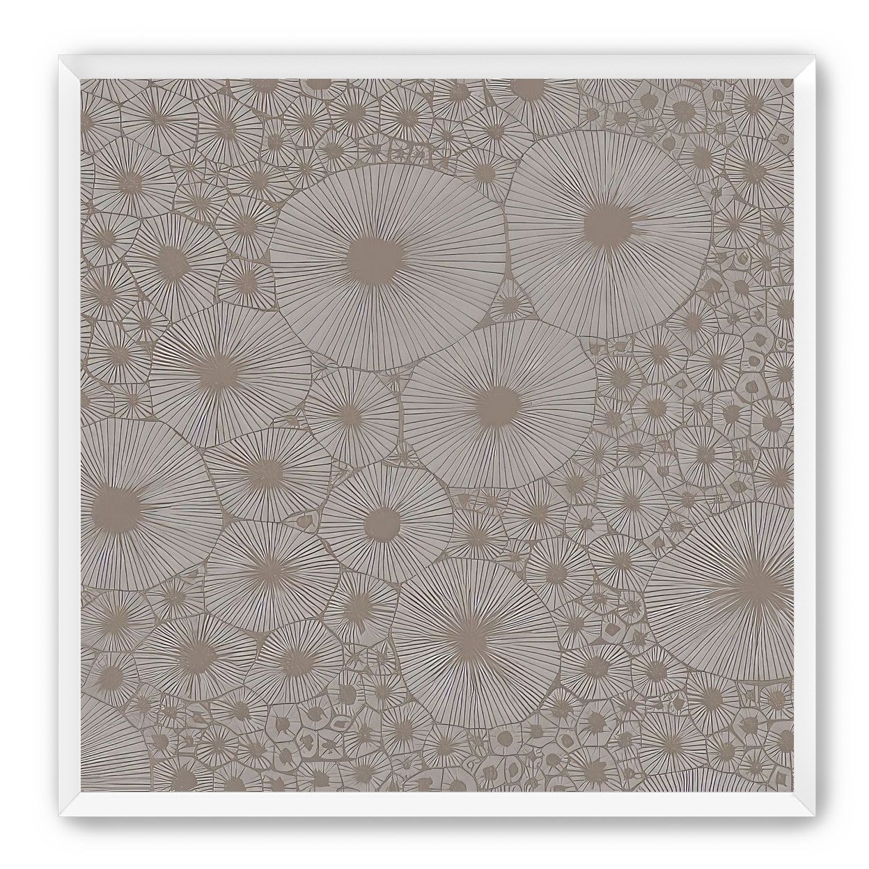 Bold Coral
