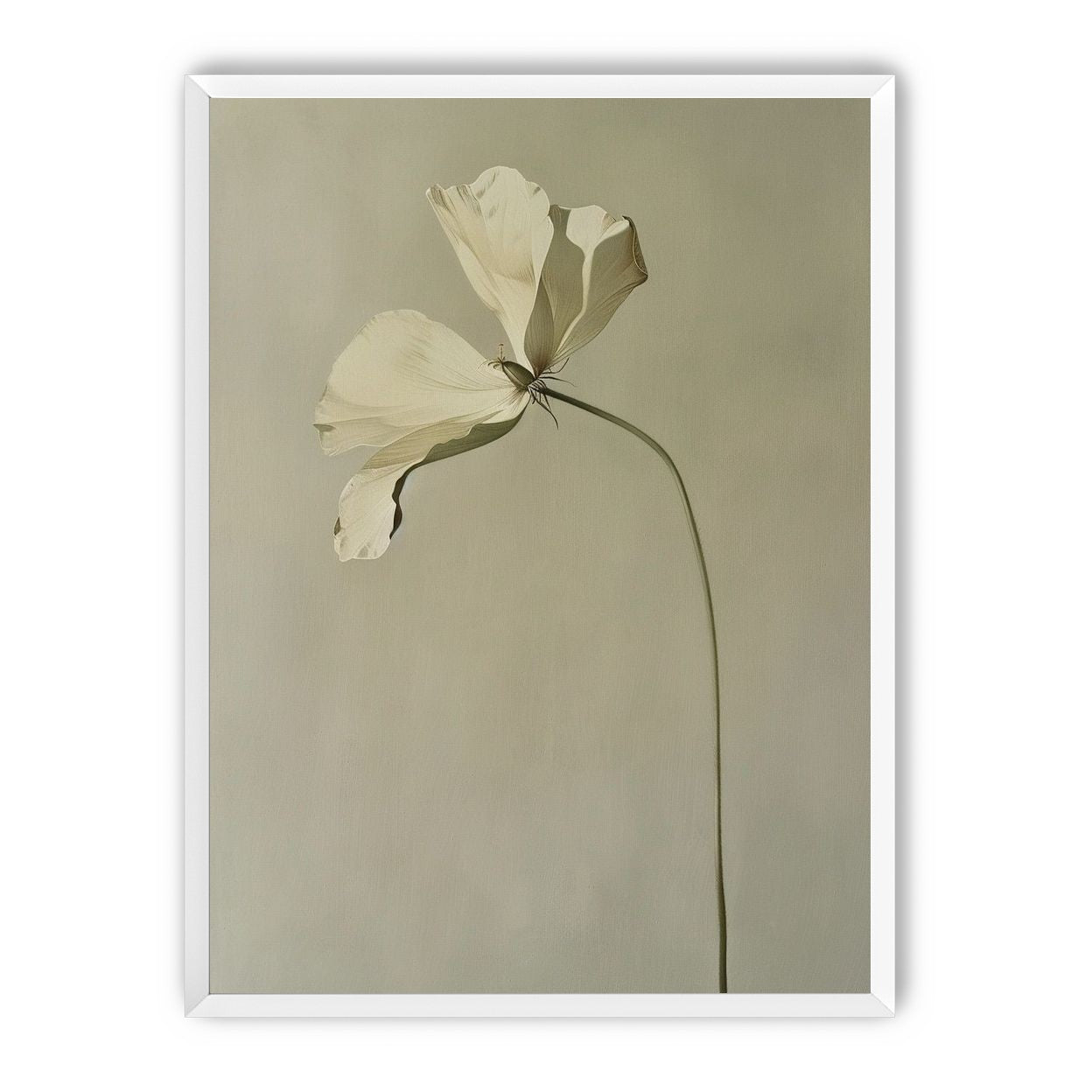 Cream petals in gray green air