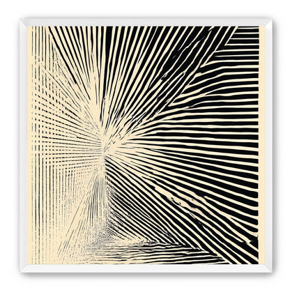 Convergence within black stripes
