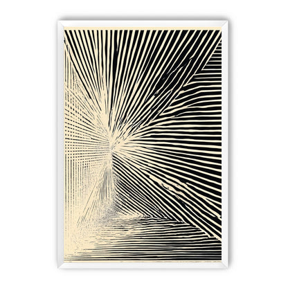 Convergence within black stripes