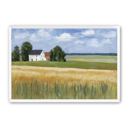 Grain Field Under Sun