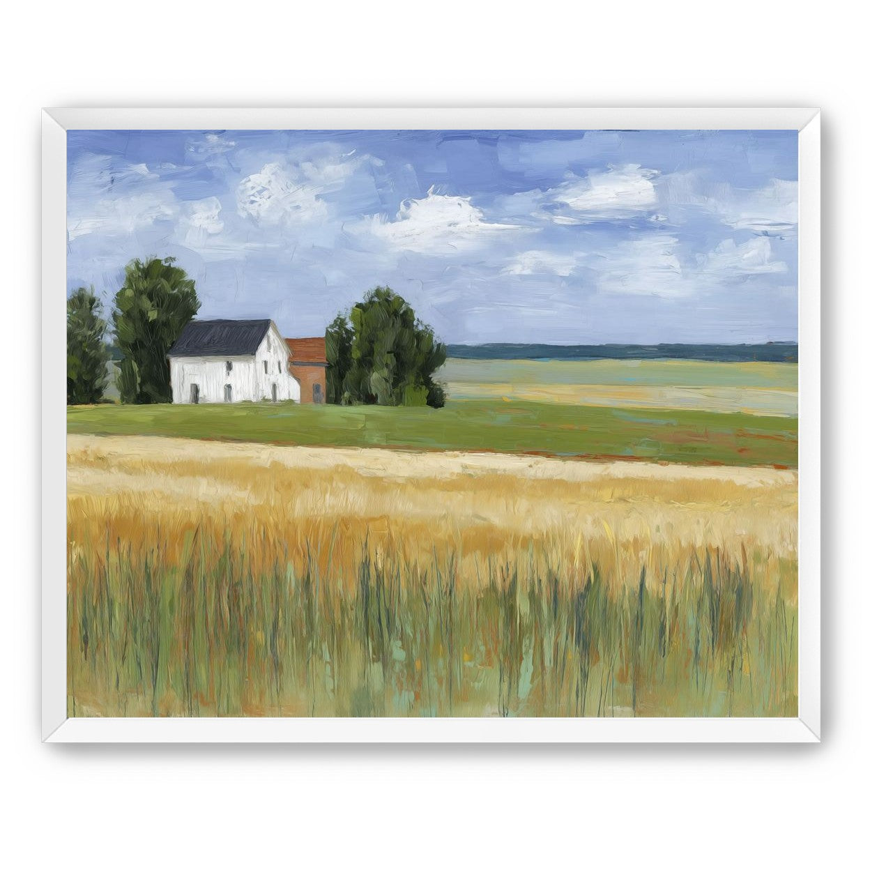 Grain Field Under Sun
