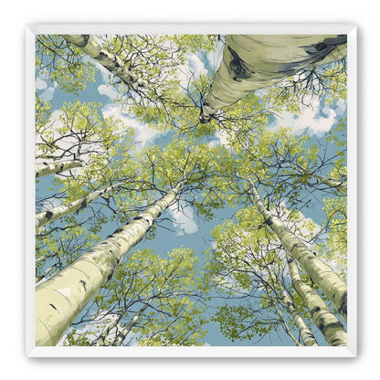 Aspen Canopy I