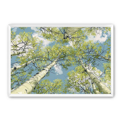 Aspen Canopy I