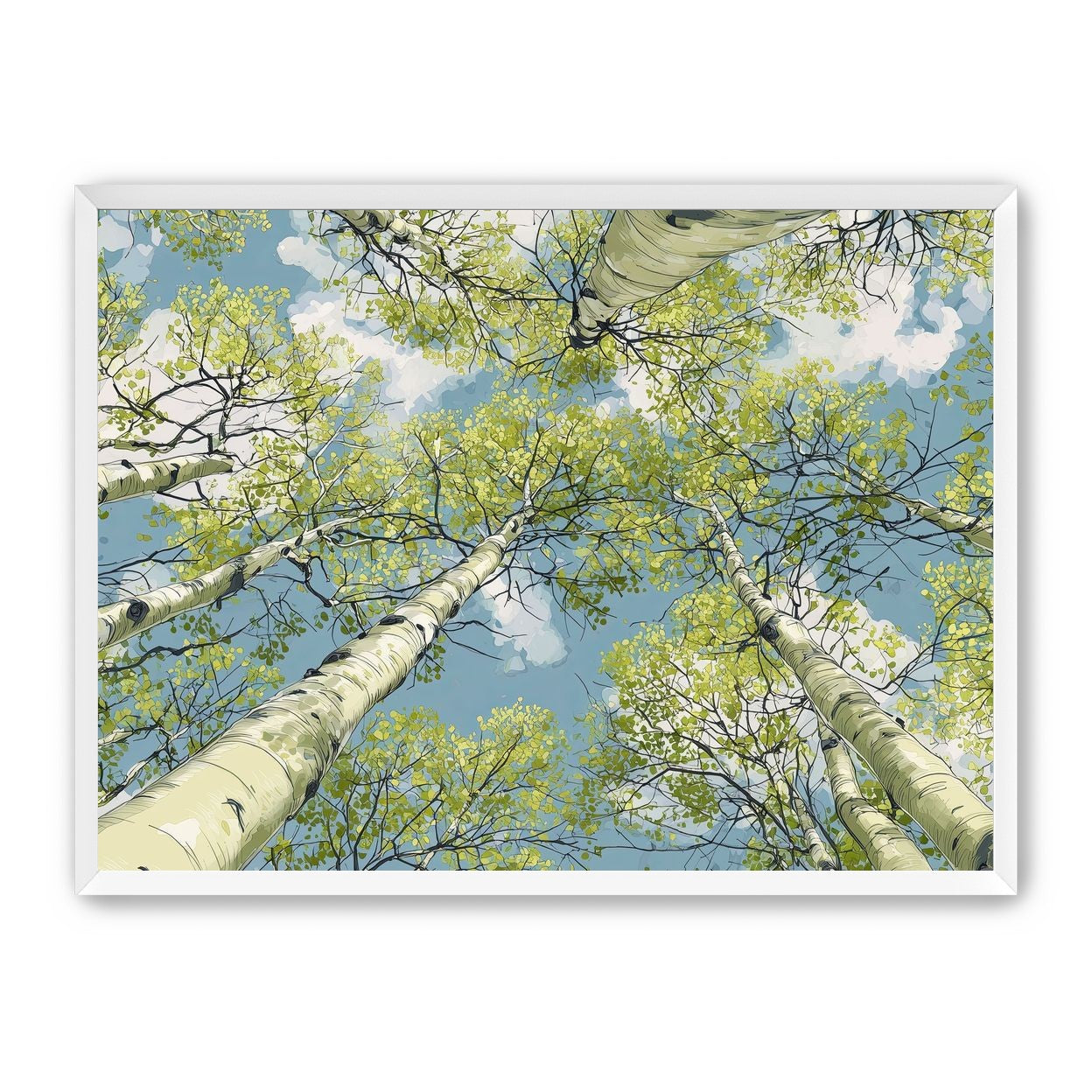 Aspen Canopy I