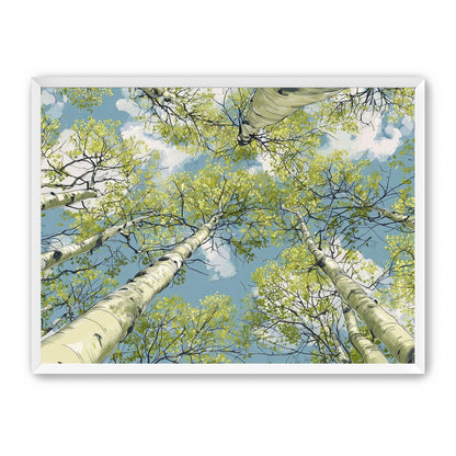 Aspen Canopy I