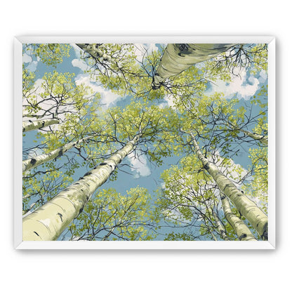 Aspen Canopy I