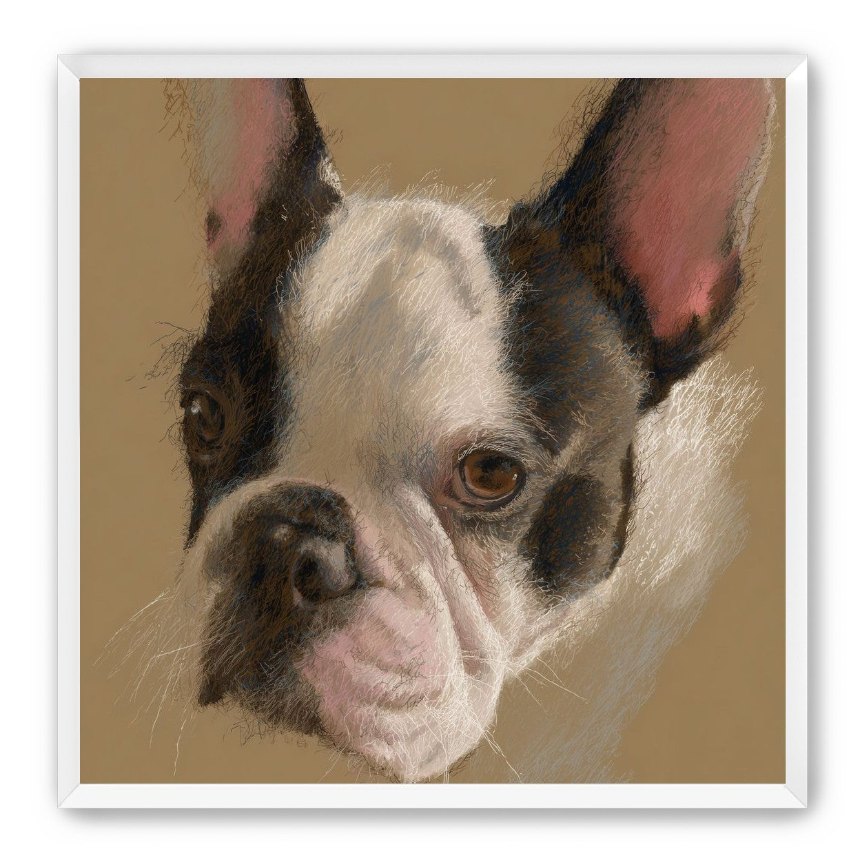 Close portrait with upright ears