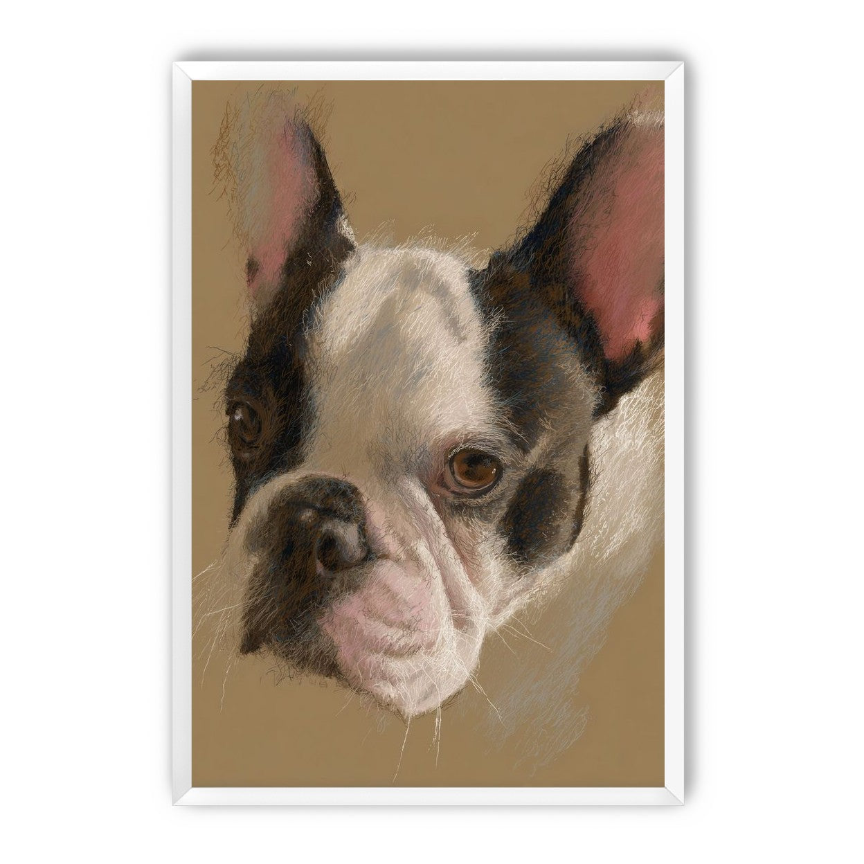 Close portrait with upright ears