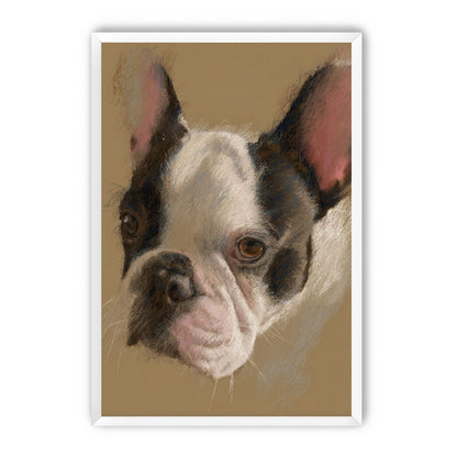 Close portrait with upright ears