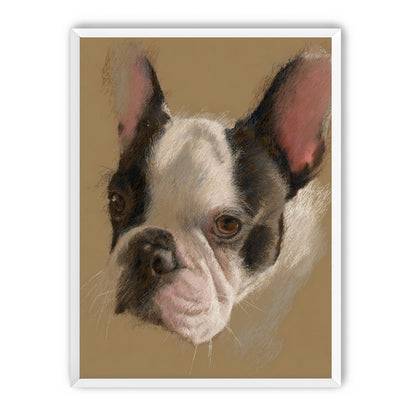 Close portrait with upright ears
