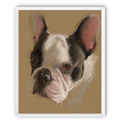 Close portrait with upright ears