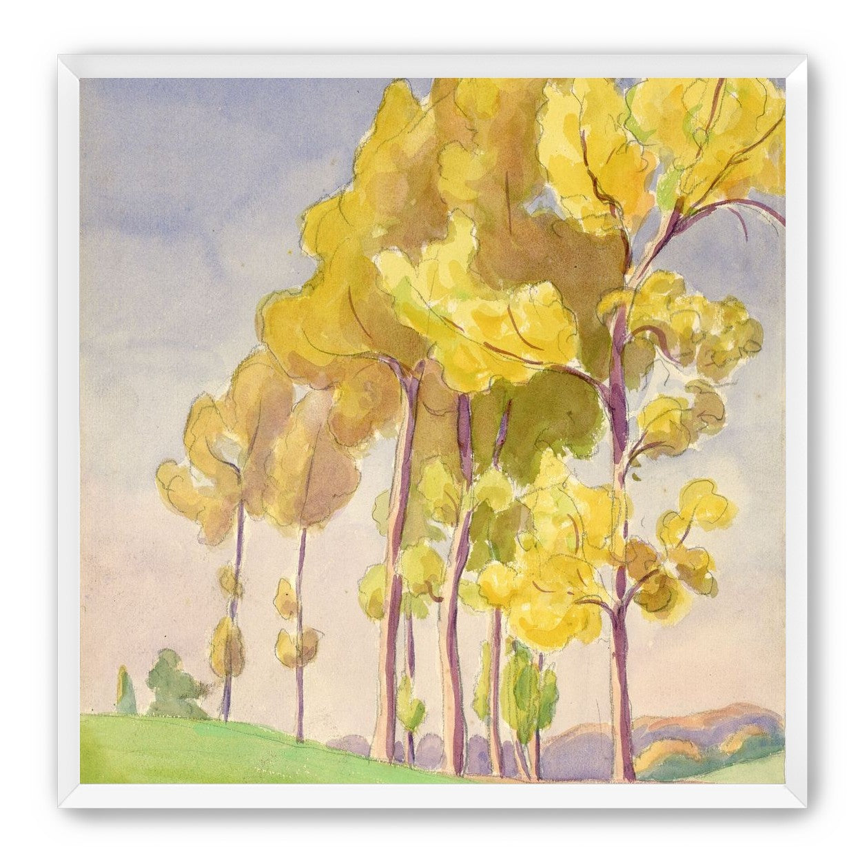 Yellow crowns on the hill