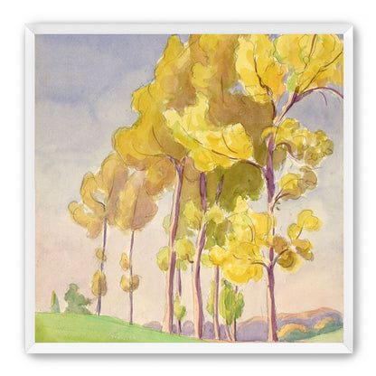 Yellow crowns on the hill