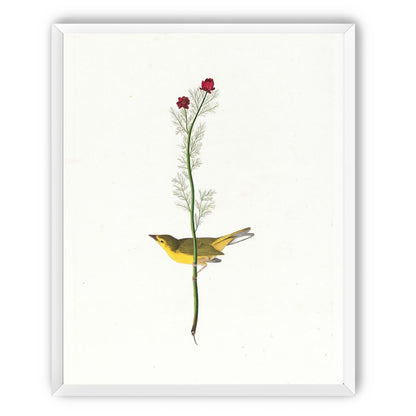 A yellow bird beneath red blooms