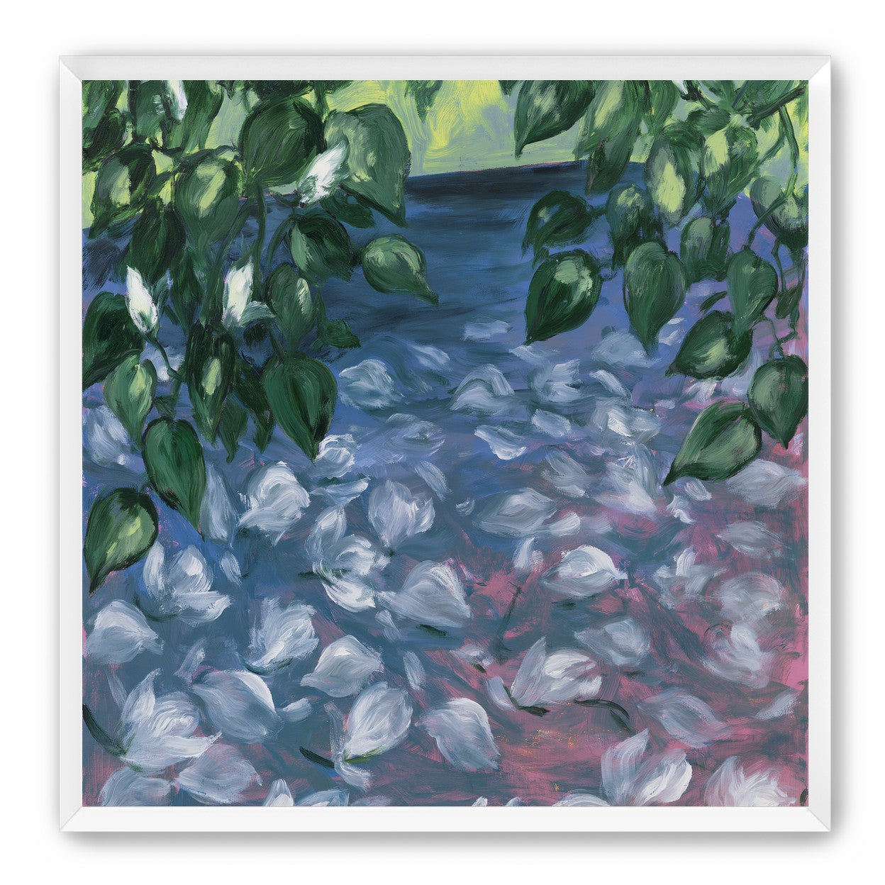 White petals on blue pond