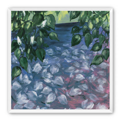 White petals on blue pond