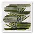 Olive bands with arcs