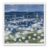 White flowers under blue sky