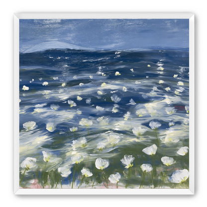 White flowers under blue sky