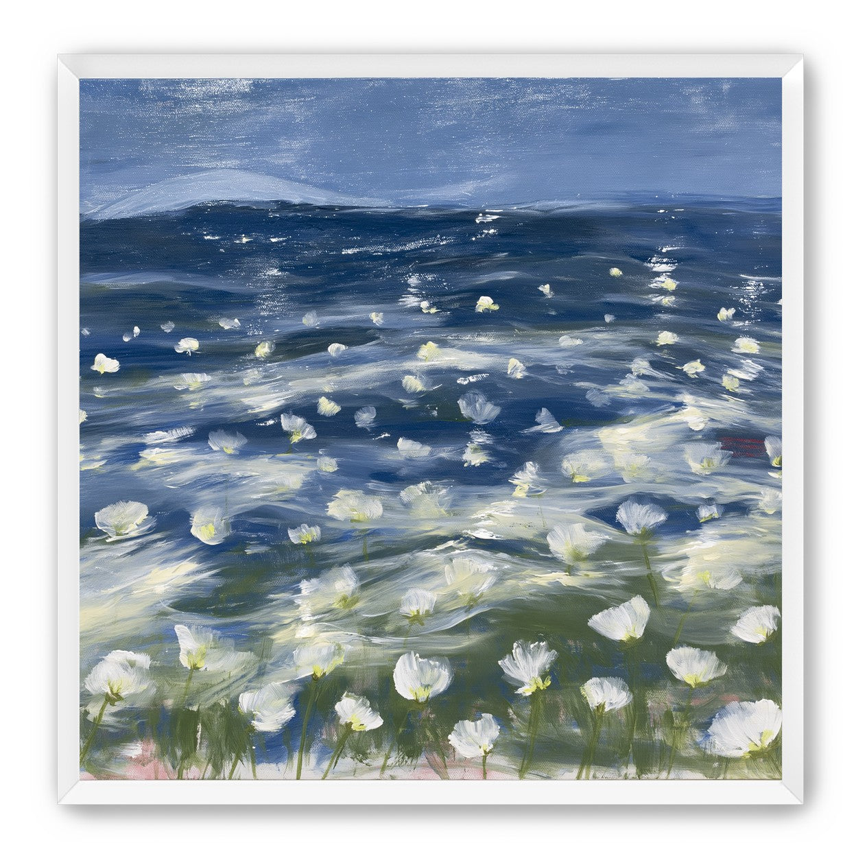 White flowers under blue sky