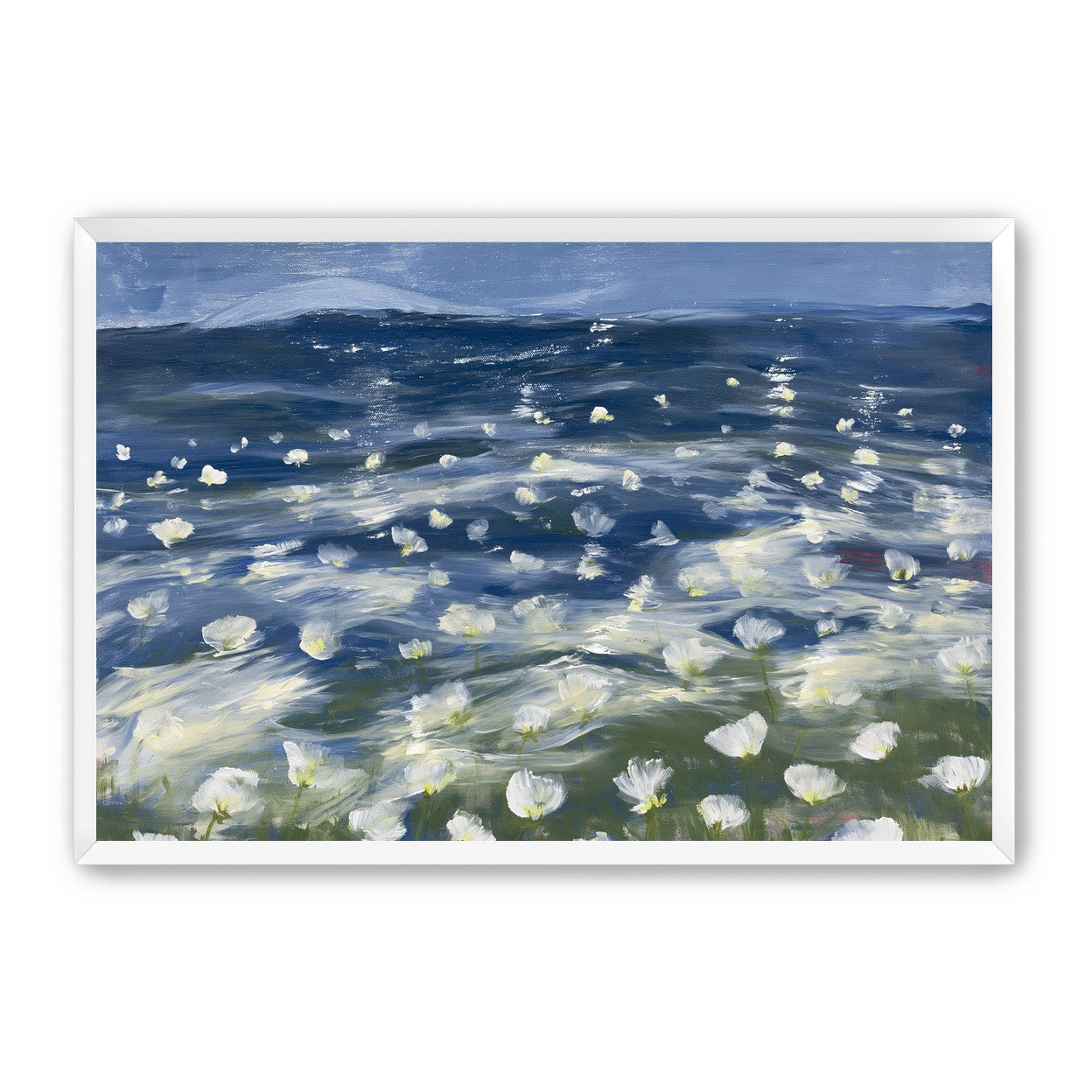 White flowers under blue sky