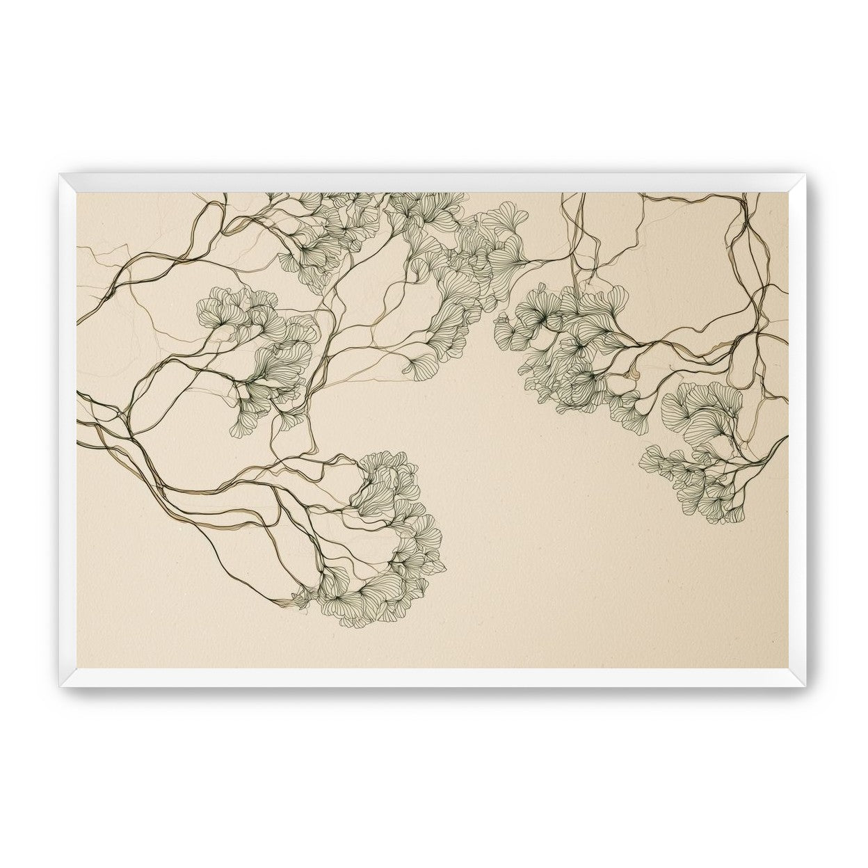 Trees Drawn in Continuous Lines
