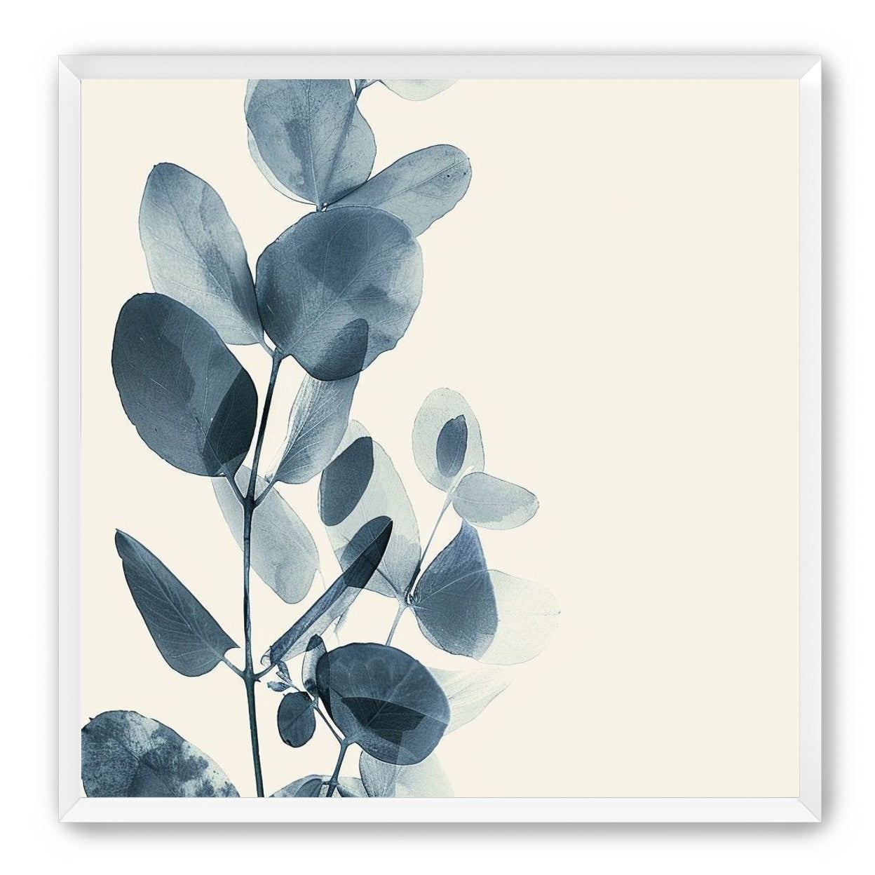 Eucalyptus in quiet blue