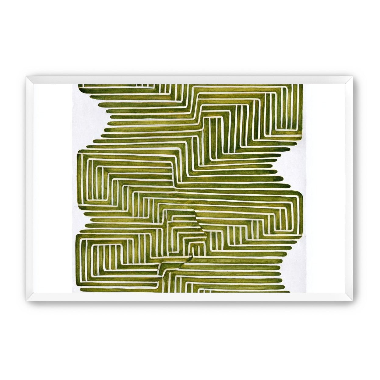 Olive bands in white quiet