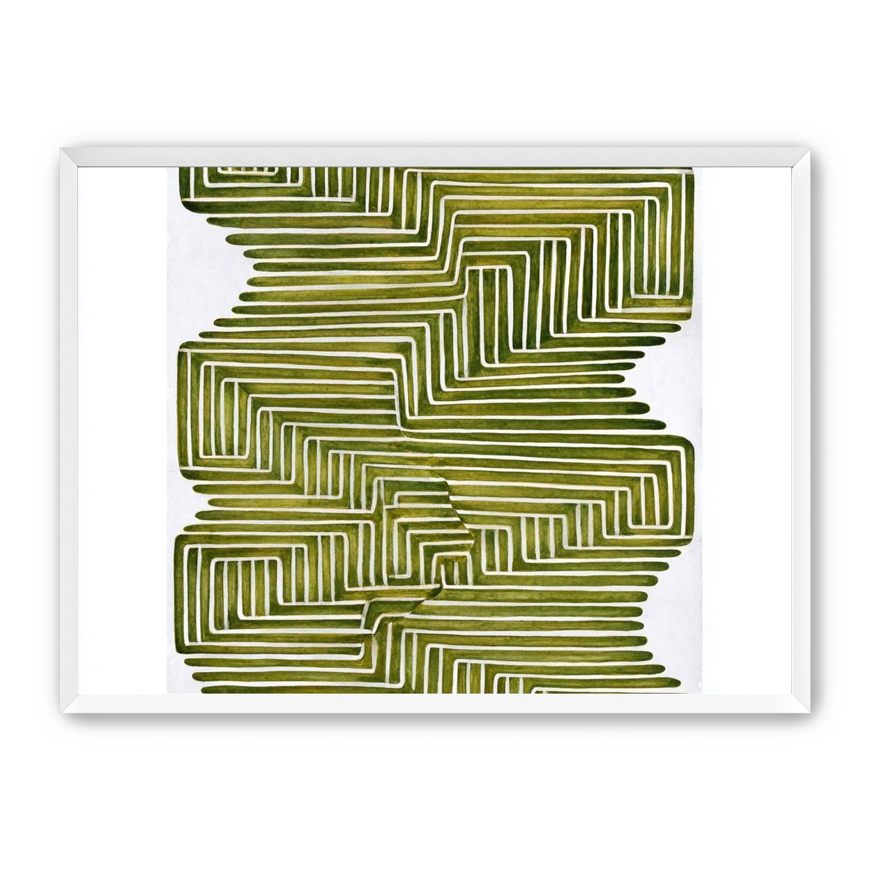 Olive bands in white quiet