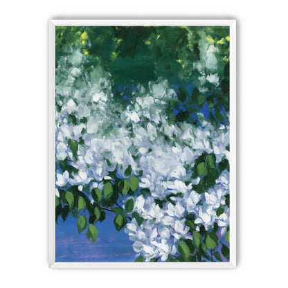 White blossoms over blue shade