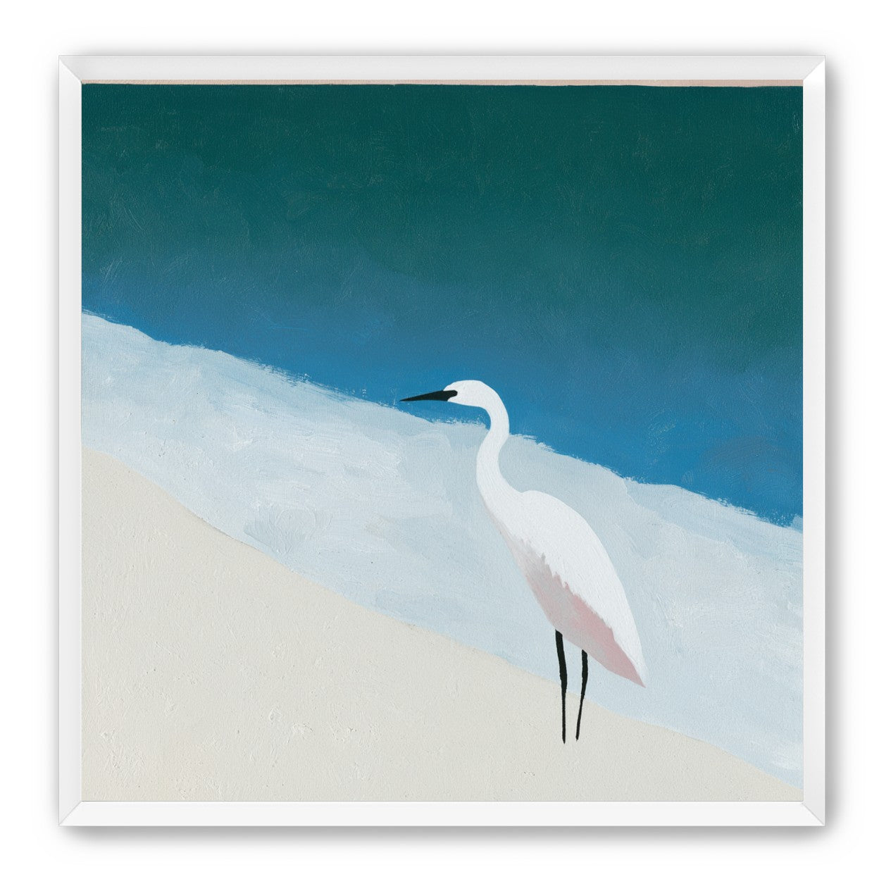 White egret at the shoreline